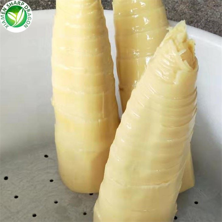 Hágæða niðursoðnar bambusskottur