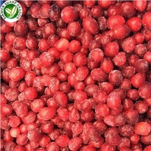 2021 Frosin trönuber