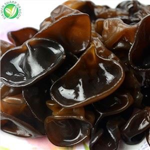 Svartur sveppasveppur