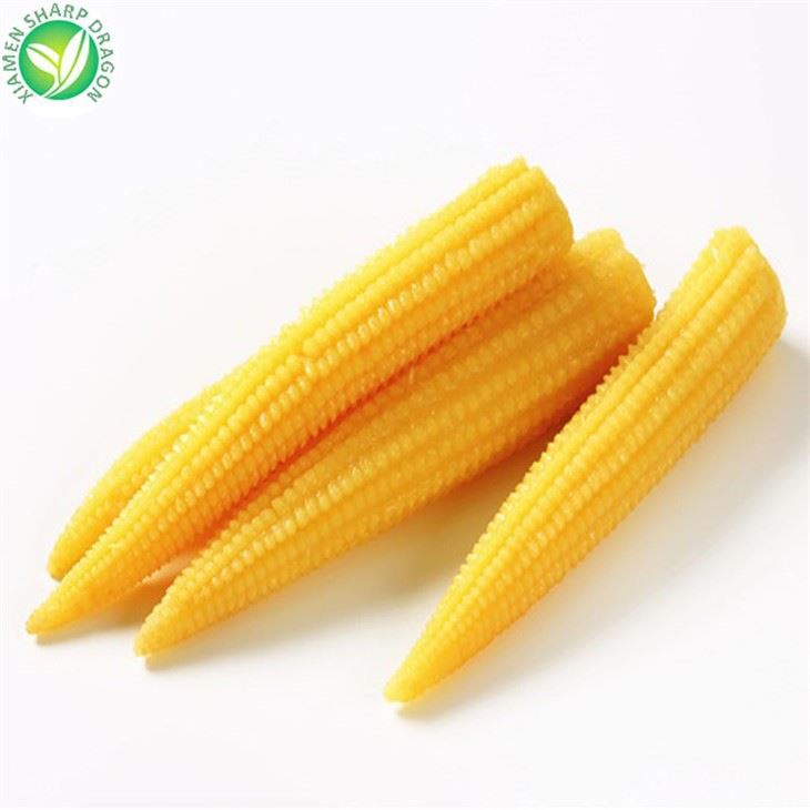 Heildsöluútflutningur Frosinn Baby Corn Cobs