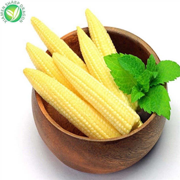 Wholesale Export Frozen Baby Corn Cobs