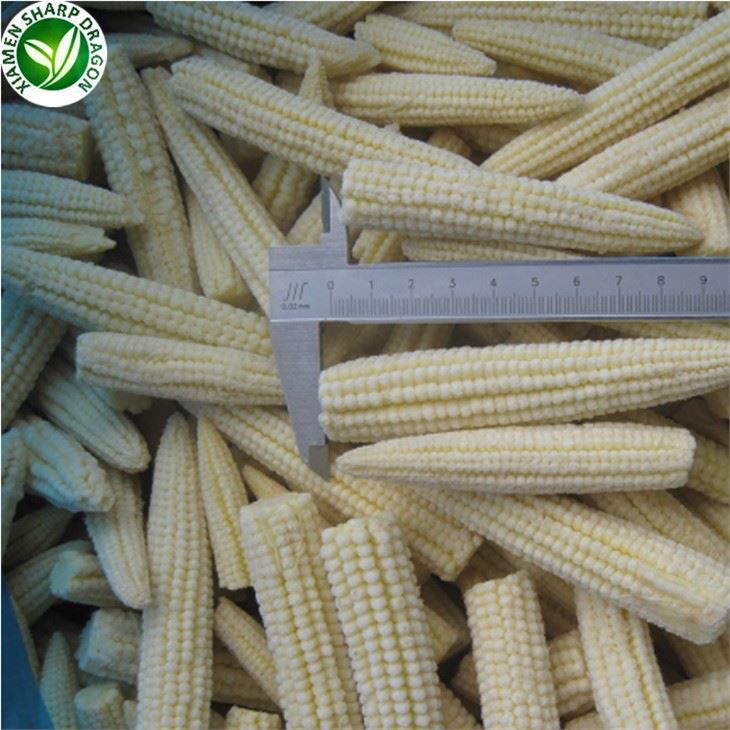 Wholesale Export Frozen Baby Corn Cobs