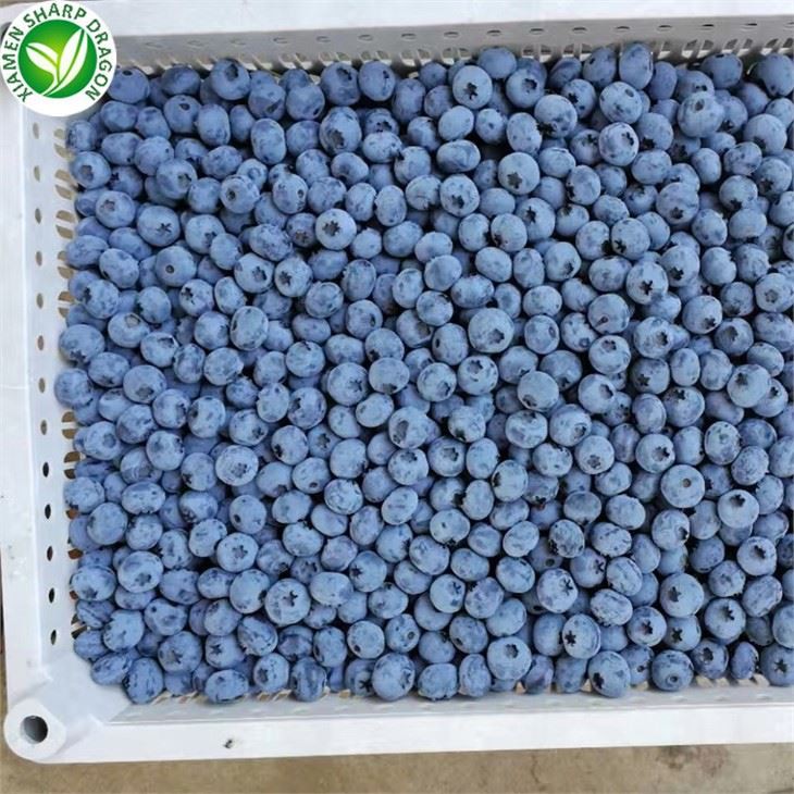Best Flavor Frozen Blueberries