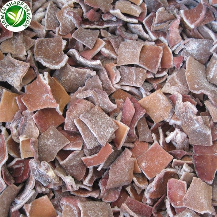 Black Fungus Mushroom