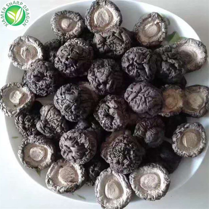 Dried Shiitake Mushroom Buy
