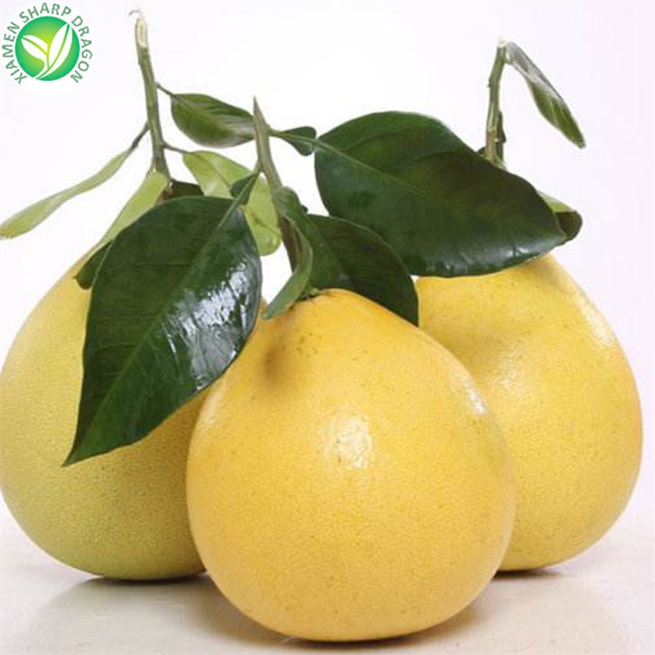 Fresh Grapefruit For Sale