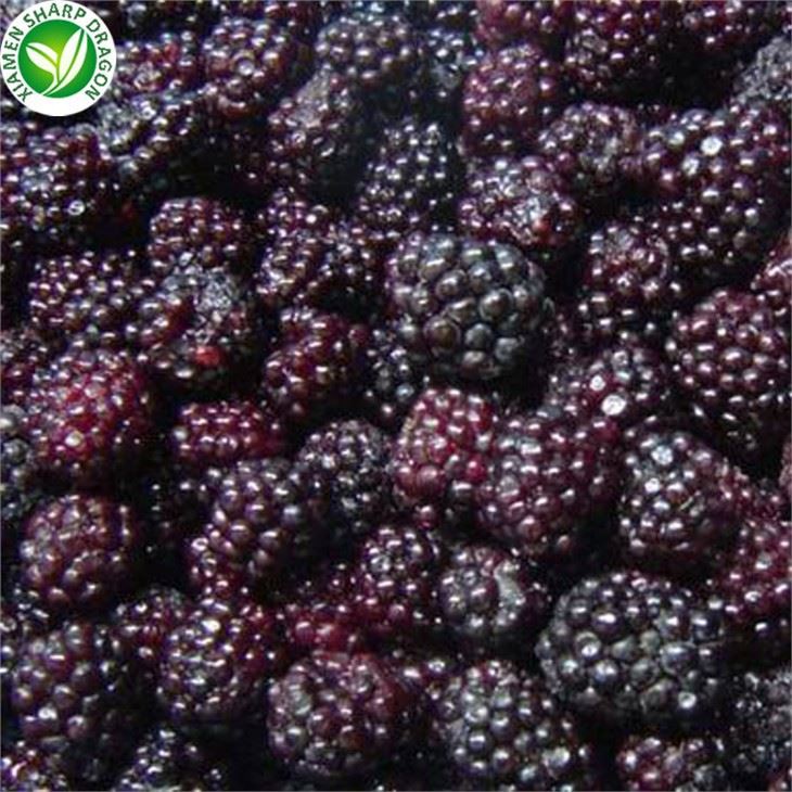 Frozen Blackberries In Bulk