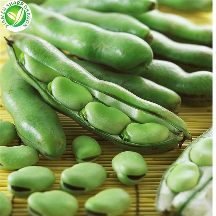 Frozen Peeled Broad Bean