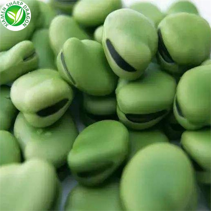 Frozen Peeled Broad Bean