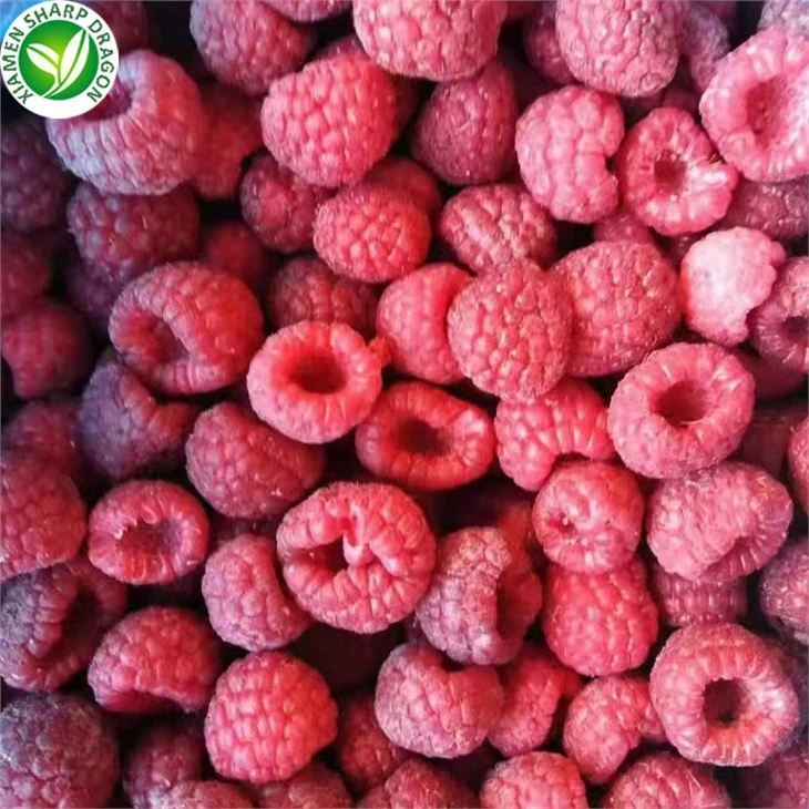IQF Red Raspberry Export Quotations