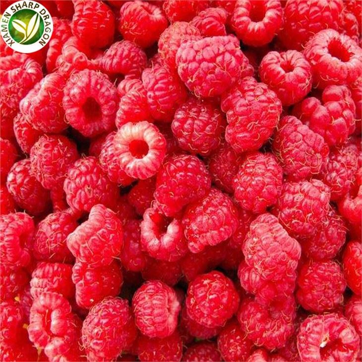 IQF Red Raspberry Export Quotations