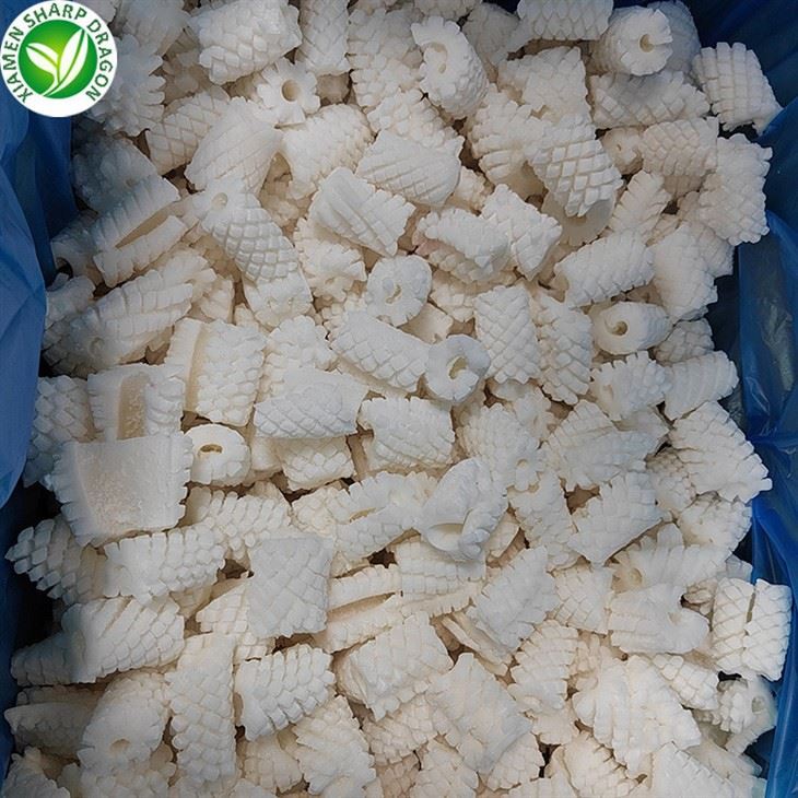 SD Frosinn Smokkfiskblóm