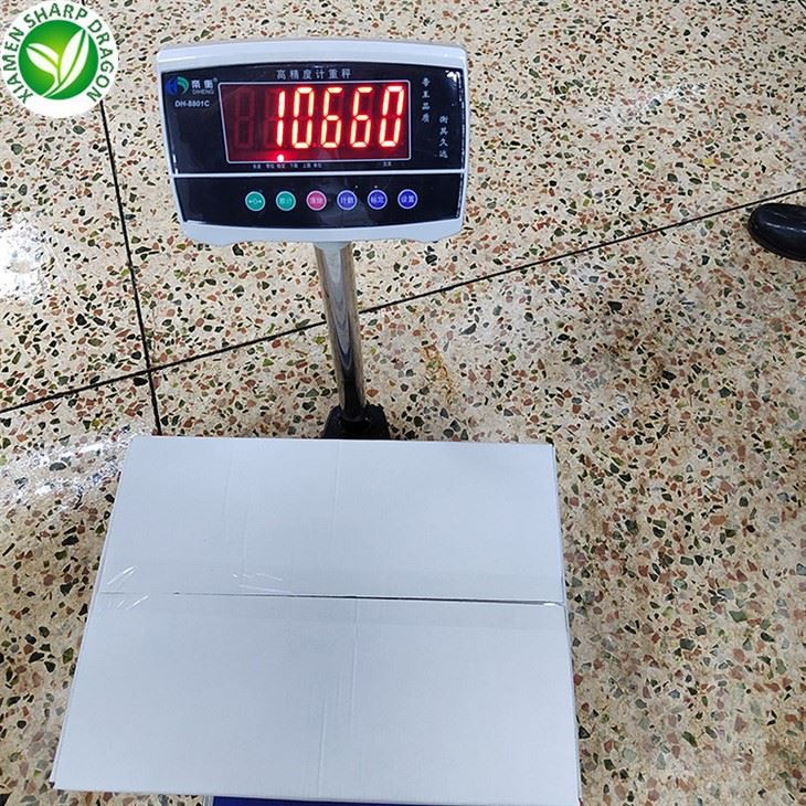 SD Frozen Squid Flower