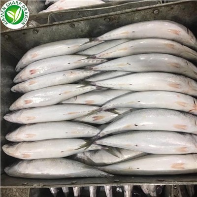 Frosinn makrílverð