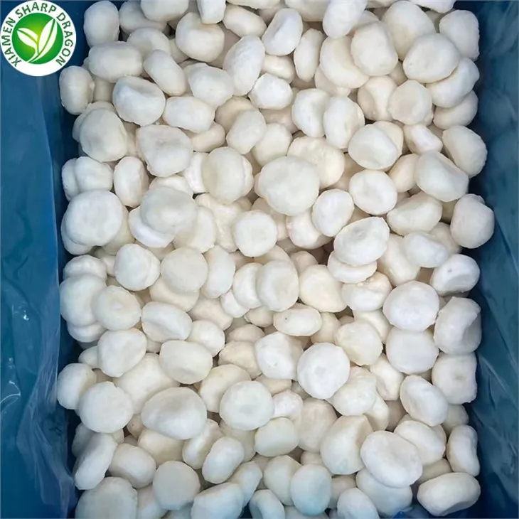 The Most Popular Water Chestnut