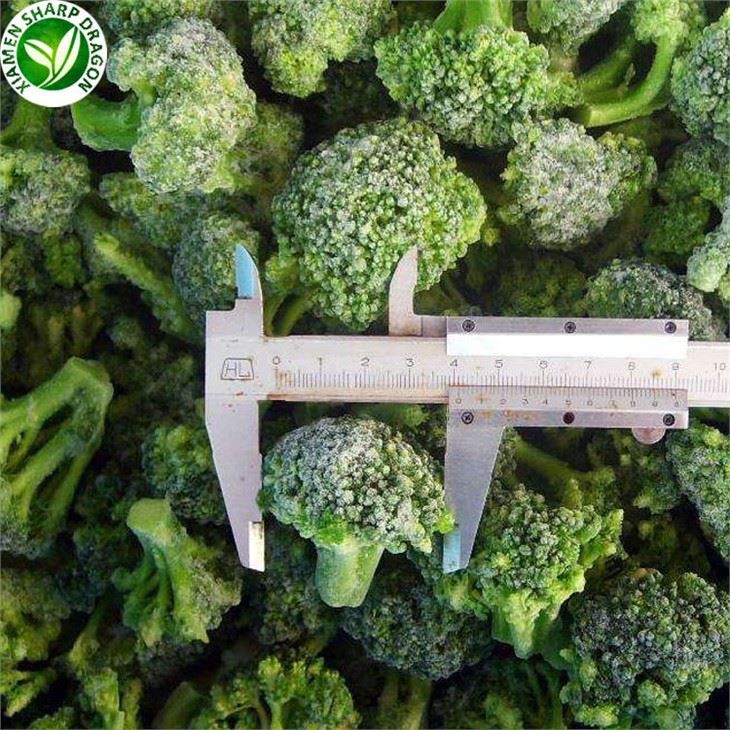 Wholesale Supply Of Frozen Broccoli