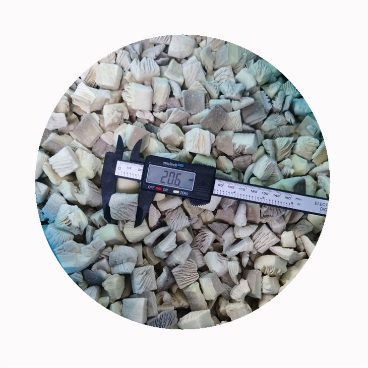 Frozen Oyster Mushroom 2-3 Cube